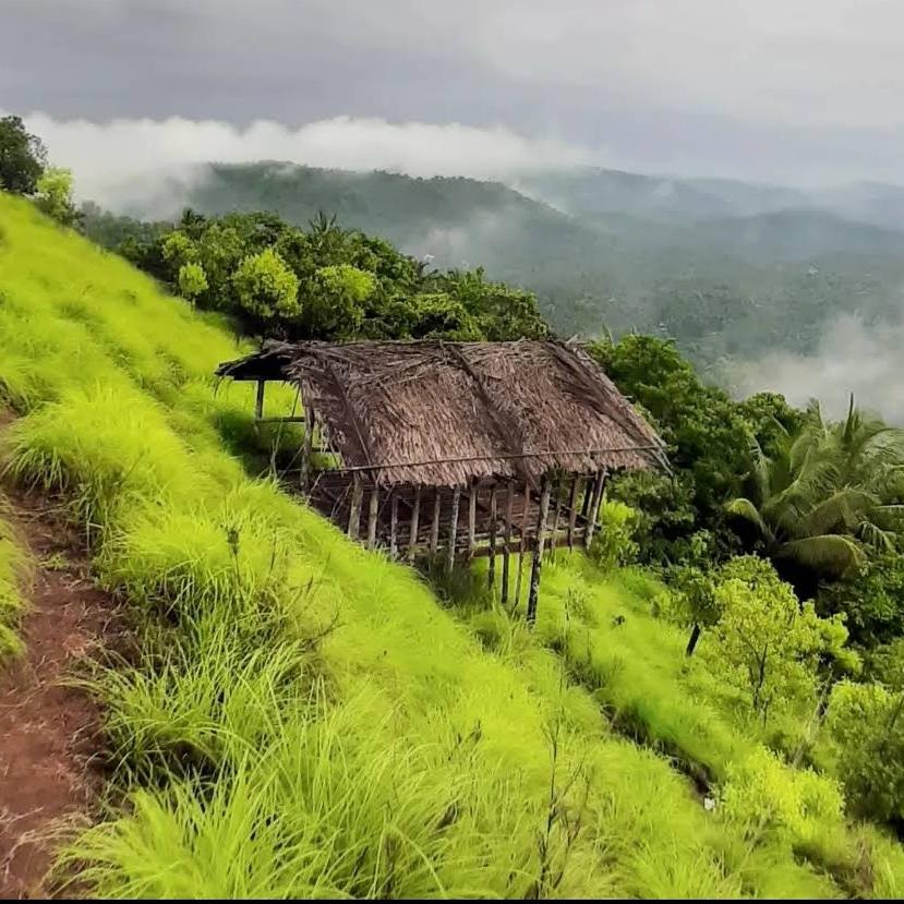 Ponkunnu farmstay and resorts – photo 3