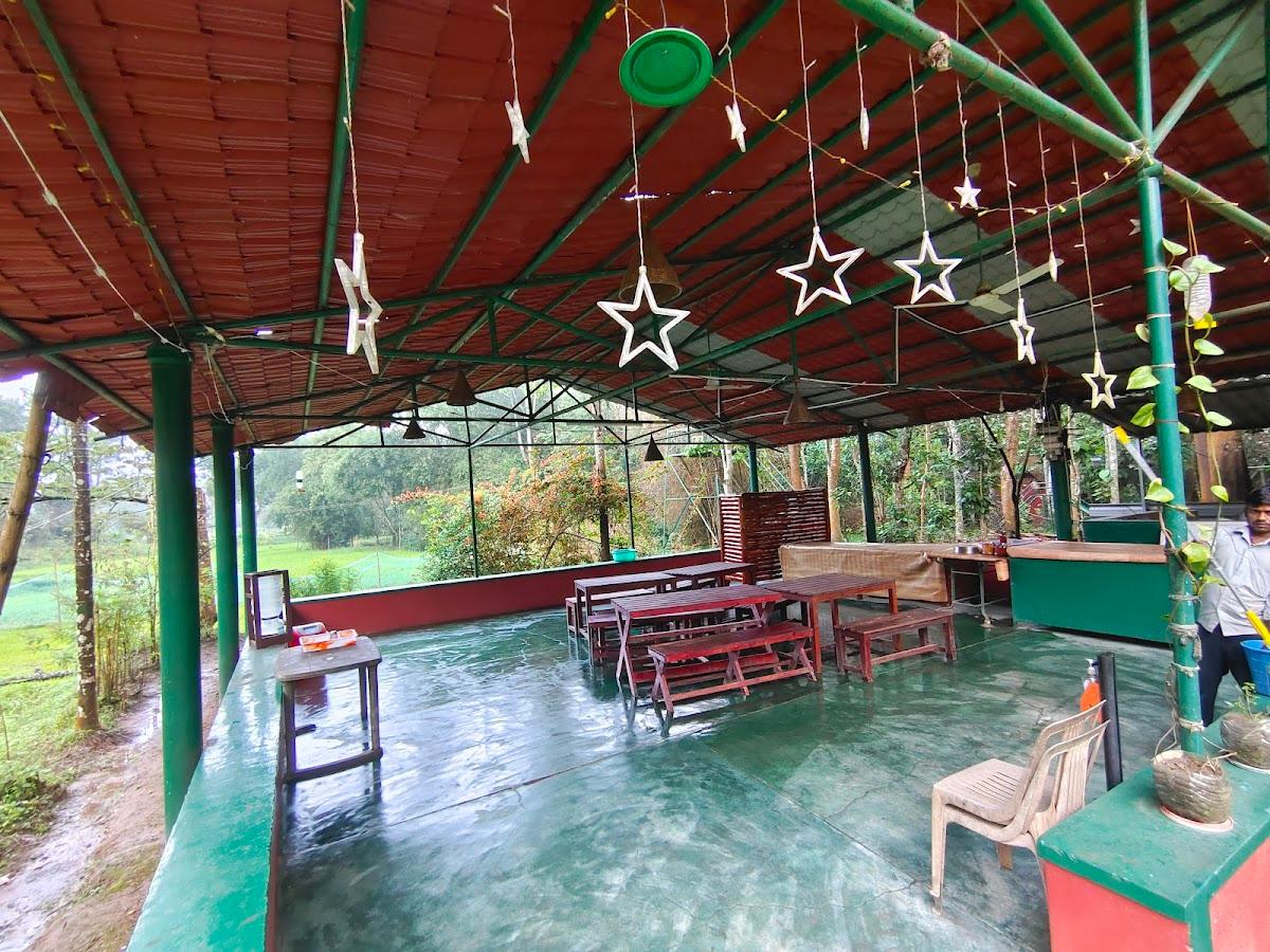 Deep Jungle Home – photo 1