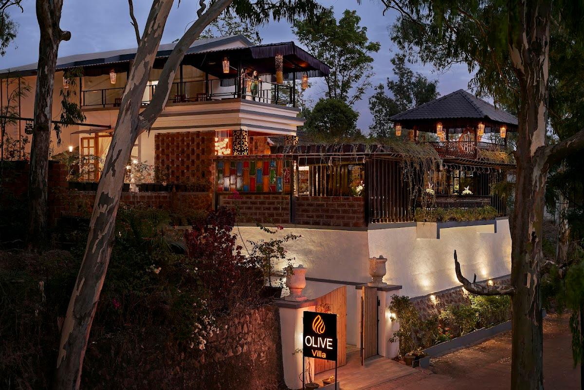 Olive villa – photo 1