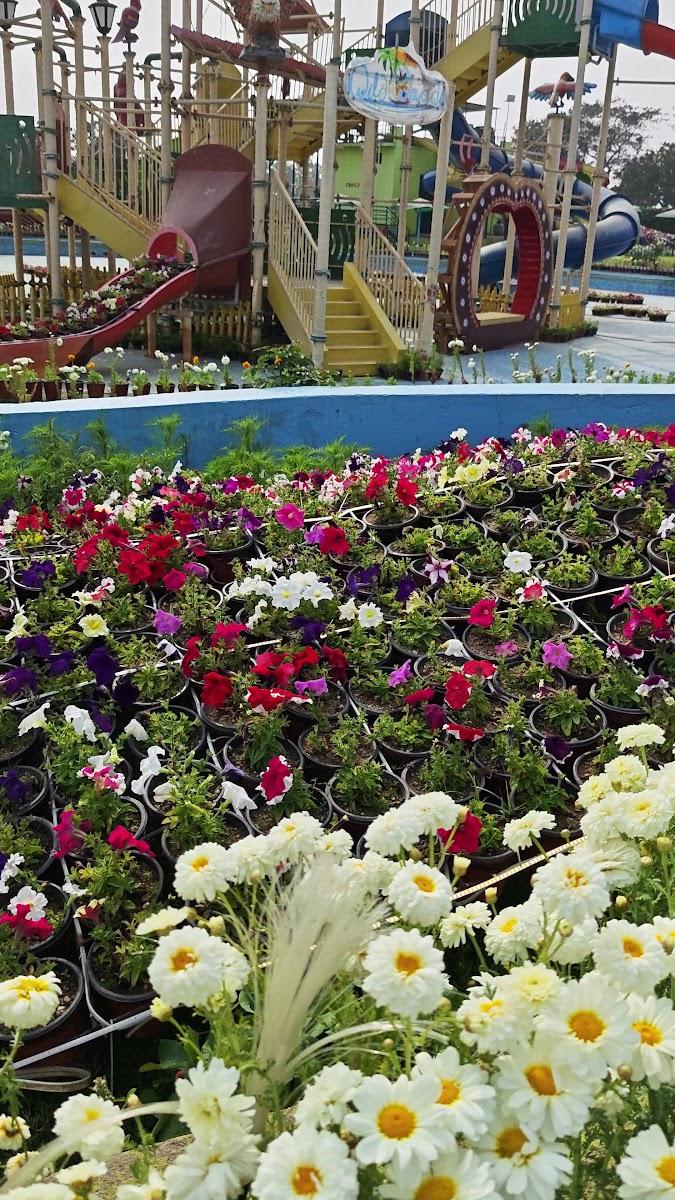 Wild Waadi Water Park – photo 4