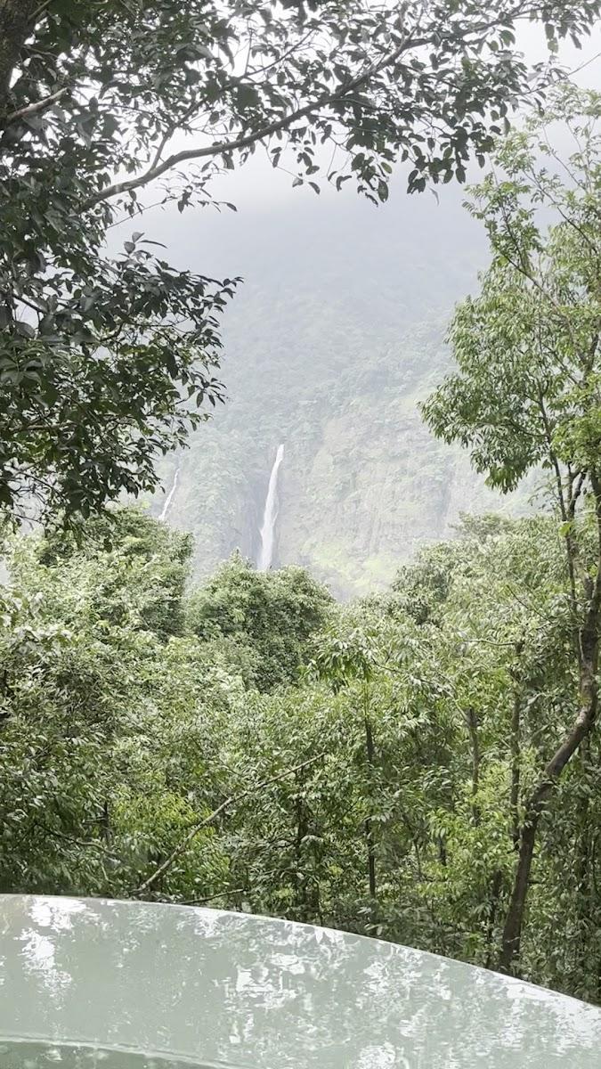 Swapnagandha Resort – photo 1