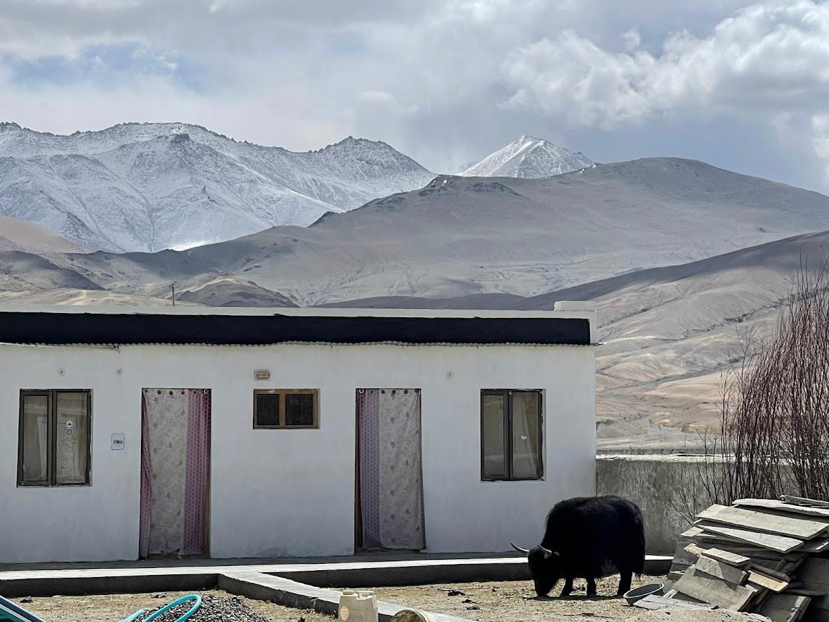 Padma Homestay – photo 3