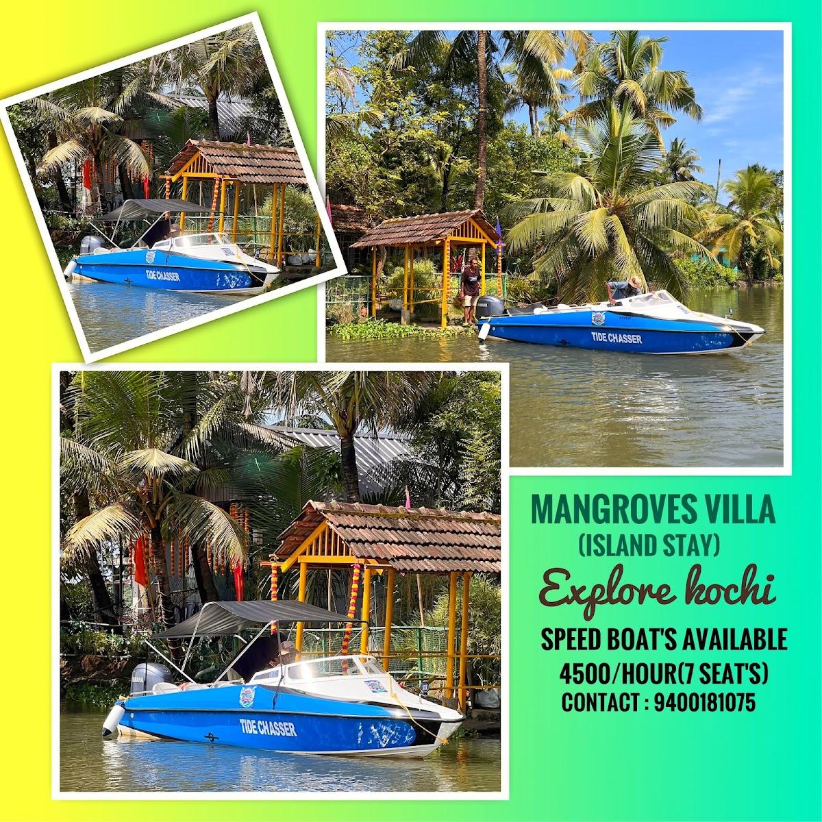 Mangroves Villa – photo 4