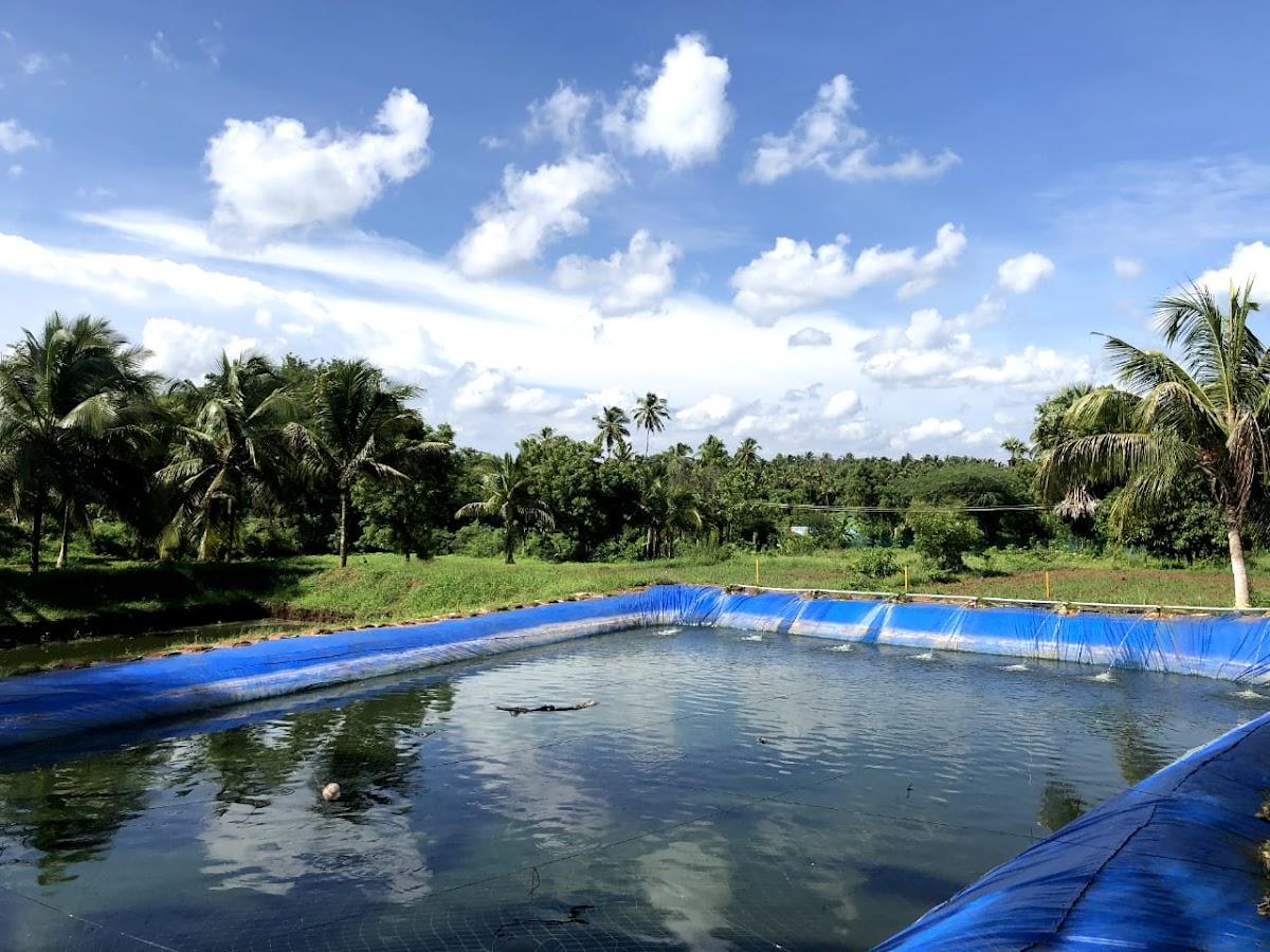 Sunvalley Farmstay Palakkad – photo 3
