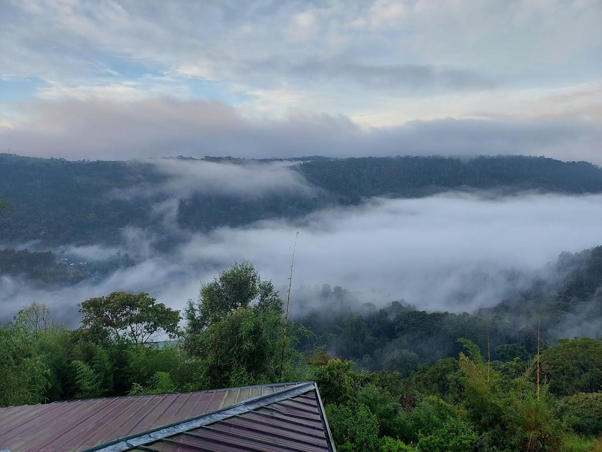 The Wind Munnar – photo 4