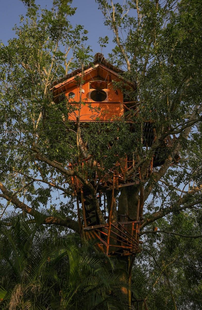 The Khaya Nest
