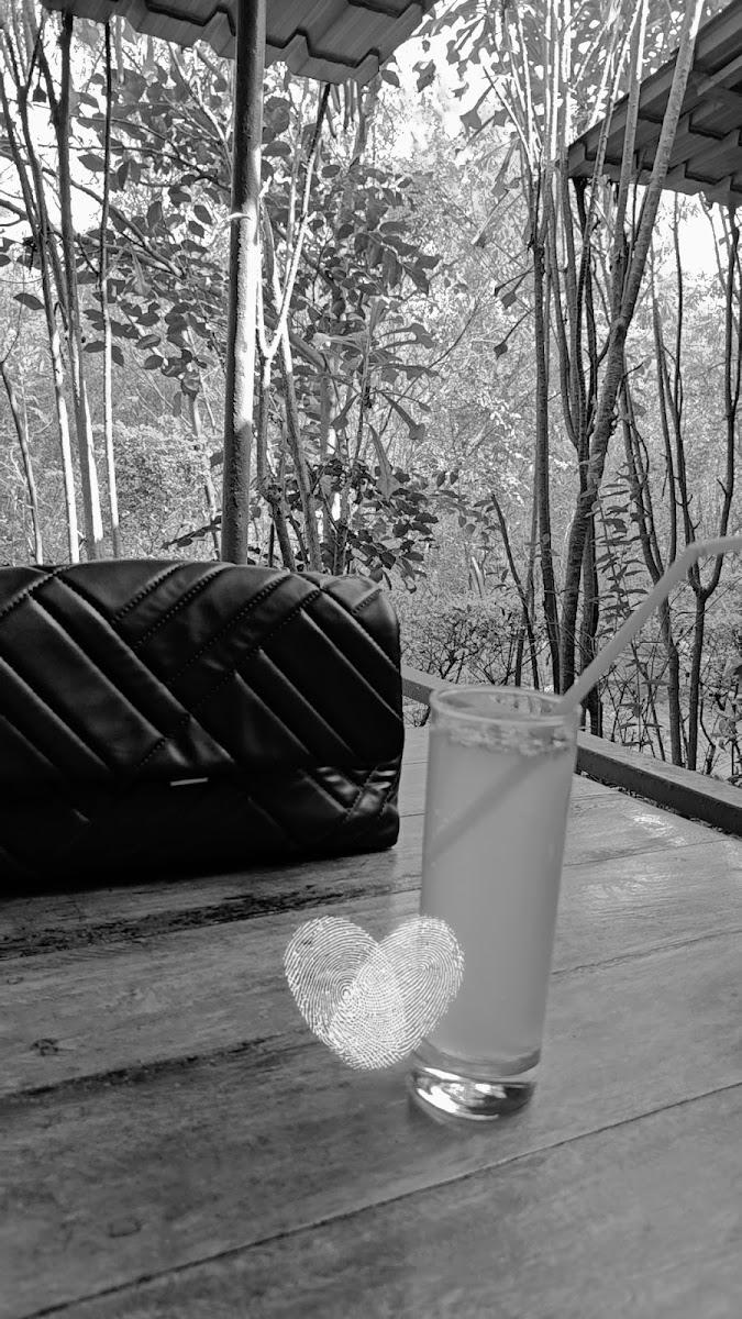 The Wilderness Retreat – photo 4
