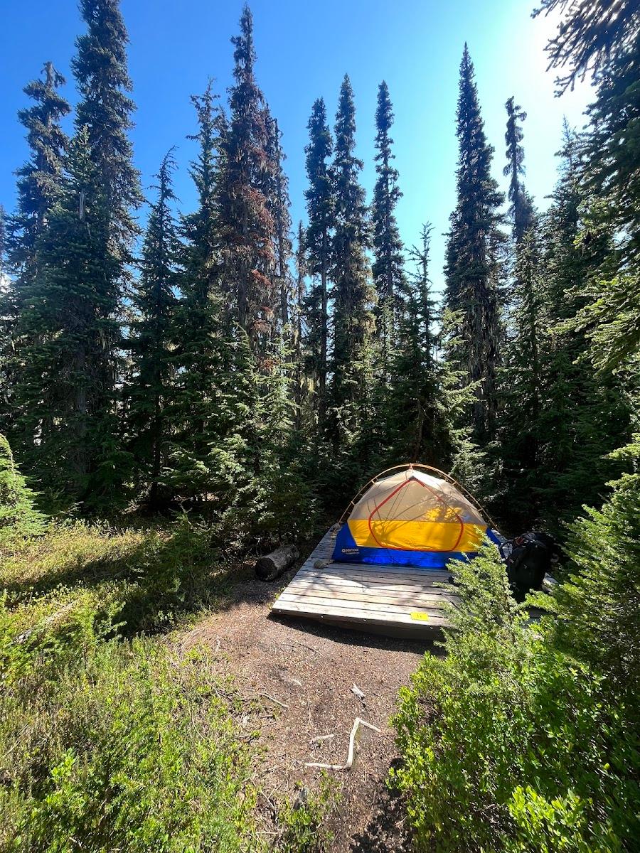 Taylor Meadows – photo 3