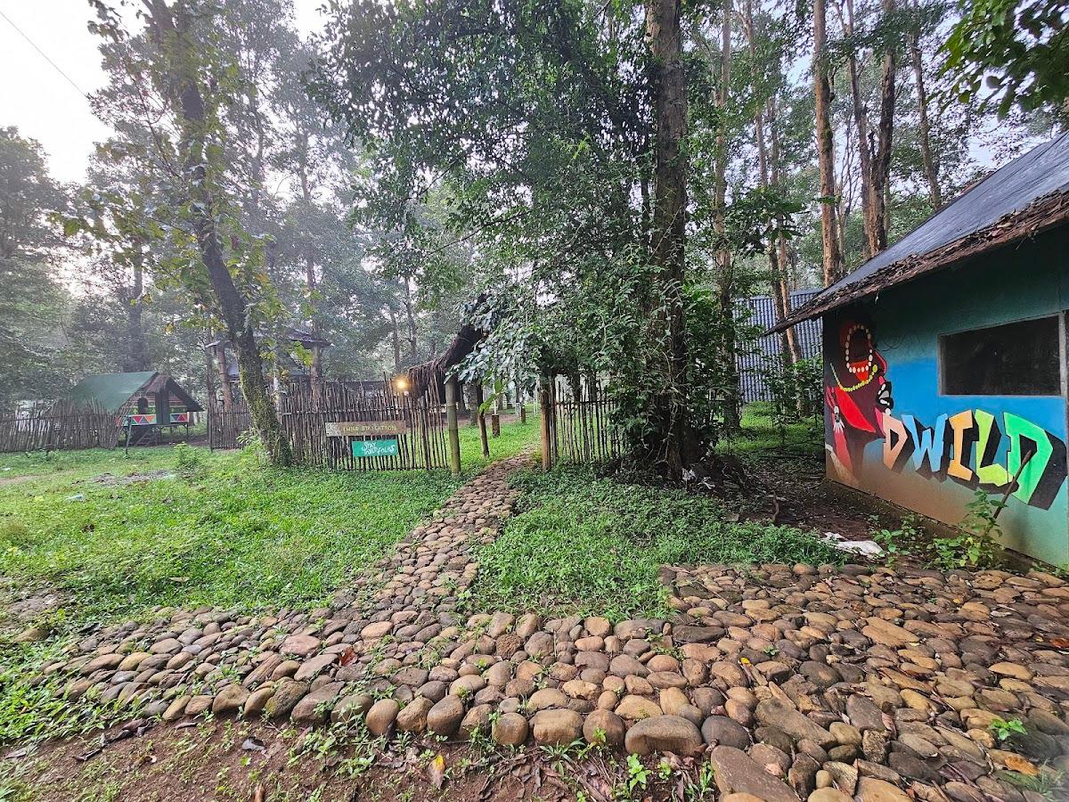 DWILD staycations wayanad – photo 1