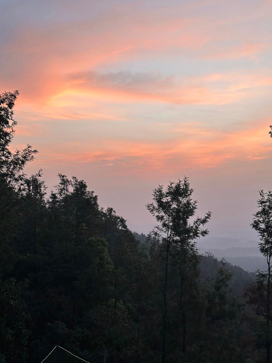 Java Rain Resorts – photo 2