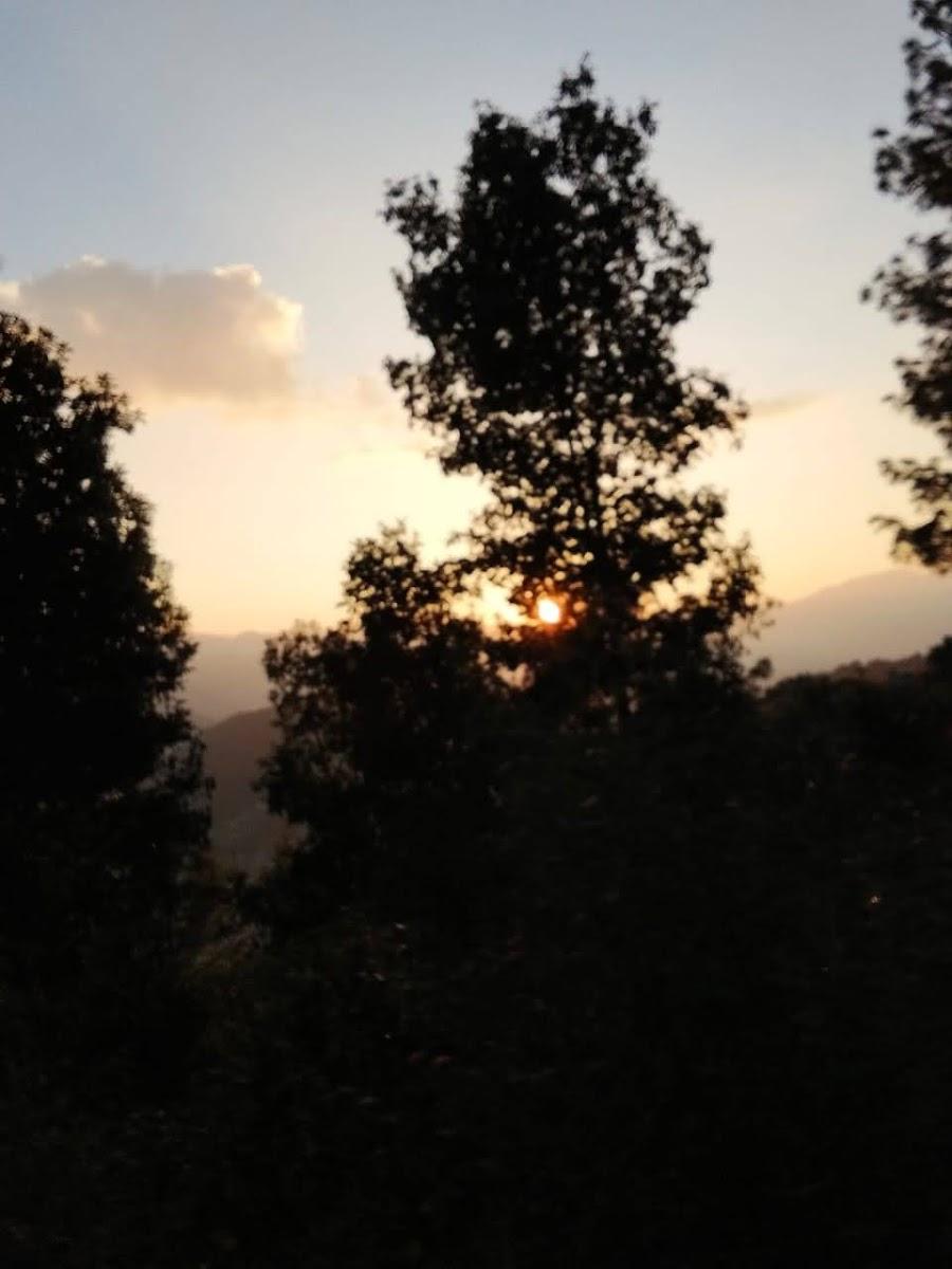 Moim camping – photo 2