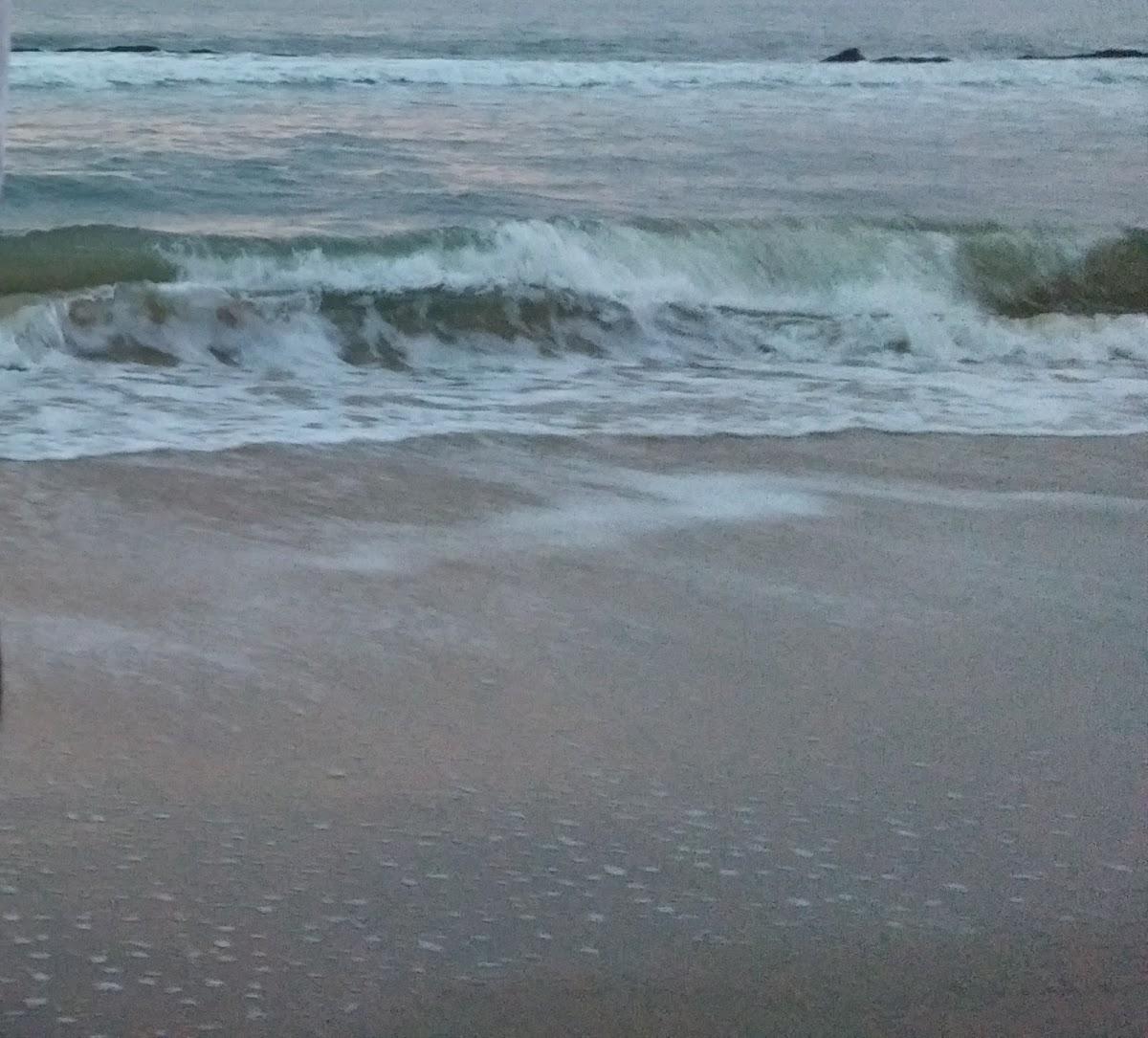 The Spot Beach Hotel – photo 4