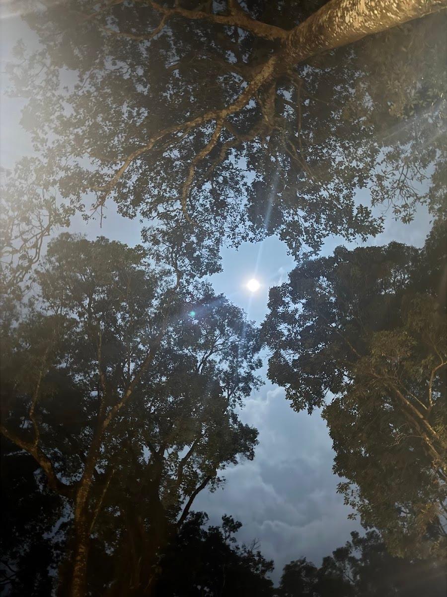 Wildvibes Wayanad – photo 3