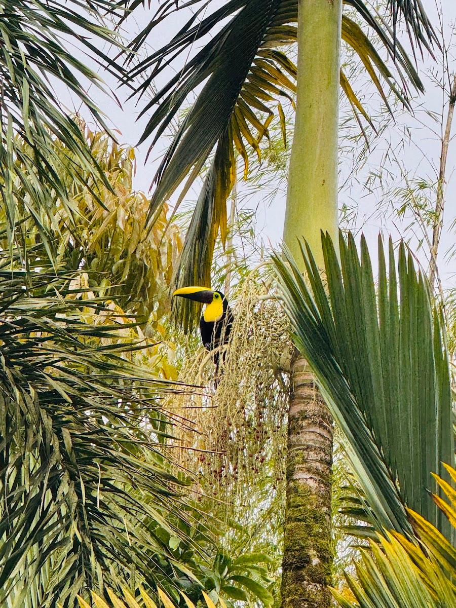 Morada Colibrí – photo 4