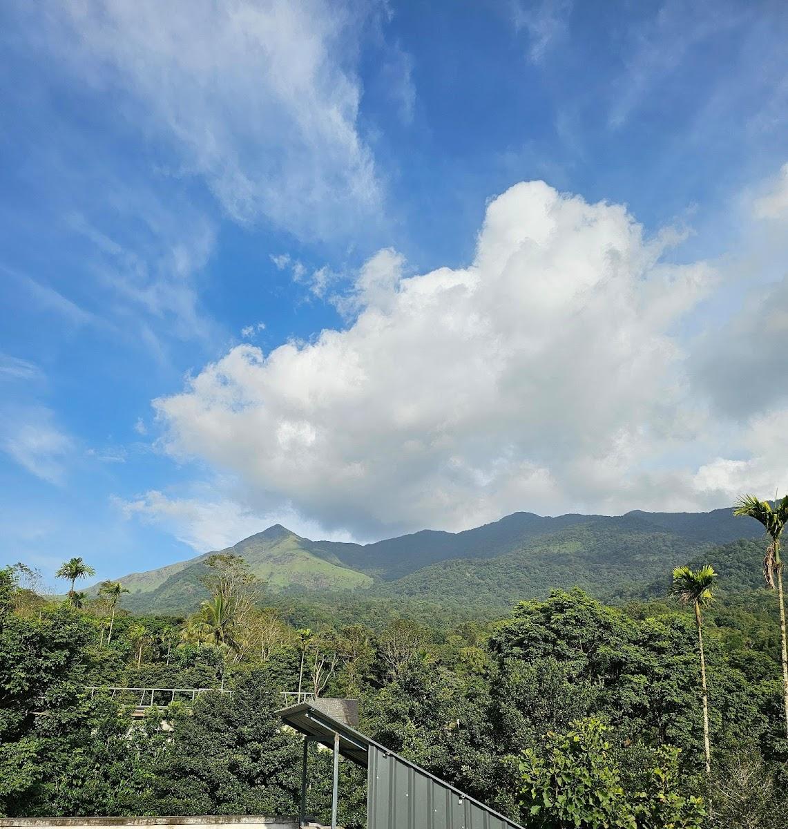 Mount Wave Pool Villa Vythiri wayanad – photo 3