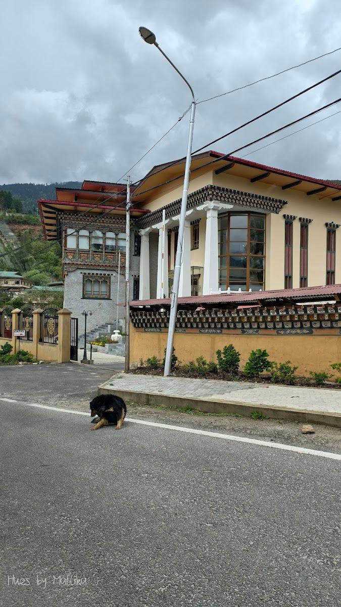 Overland Hotel, Thimphu – photo 3