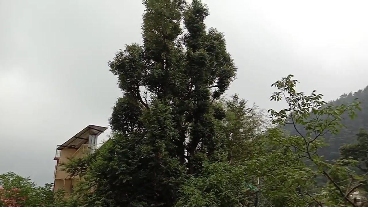 Dharamkot Inn – photo 2