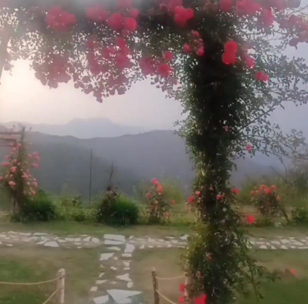 The Kanatal Orchids – photo 3