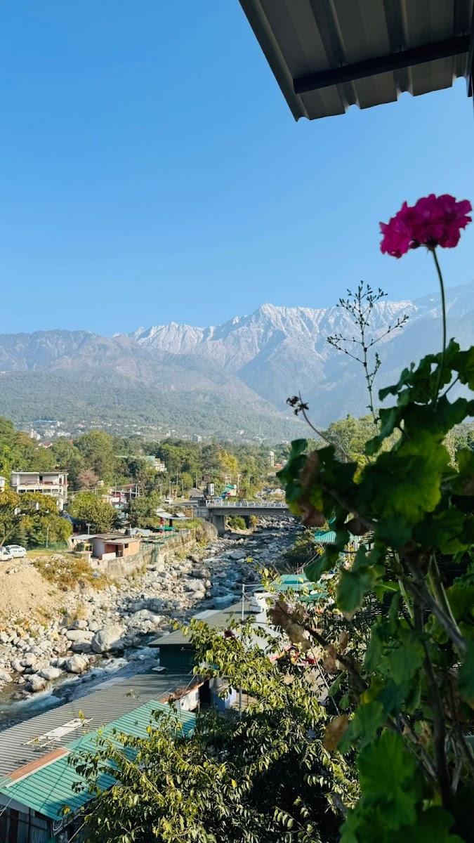 Wanderthirst Dharamshala – photo 2