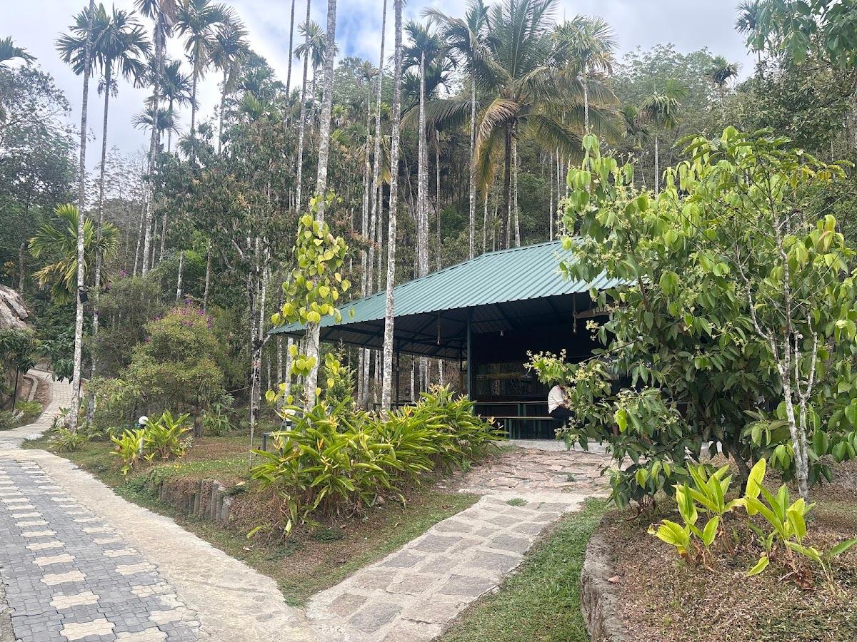 edakkal Cave Valley Retreat Natural Villa wayanad – photo 2