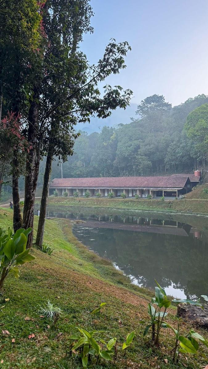 Jungle Park Resort by GreenEscapes – photo 4