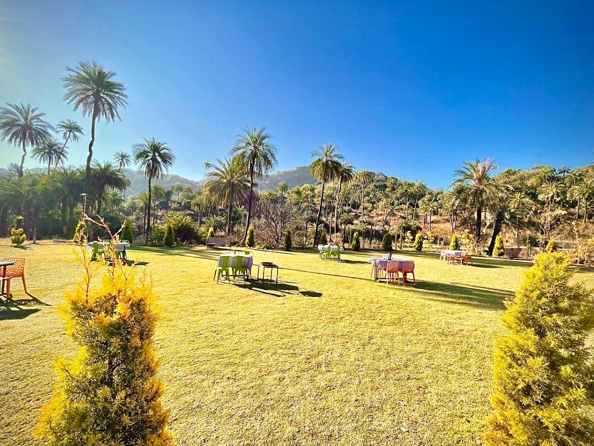 Palm Valley – photo 1