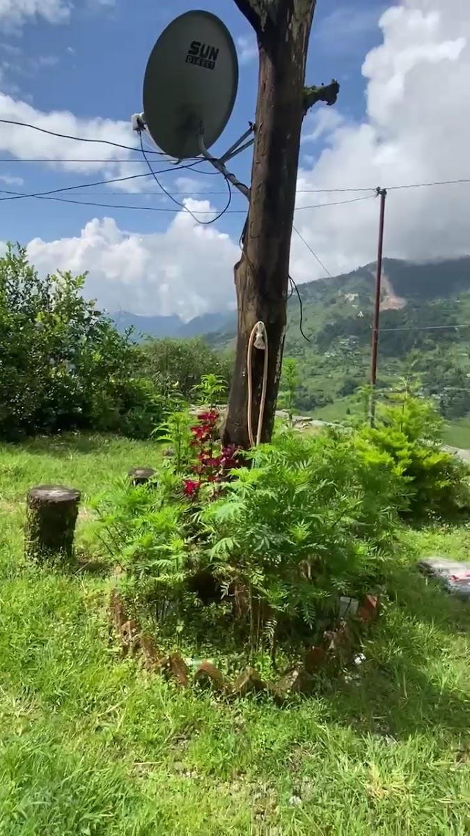 Birthi waterfall homestay – photo 3