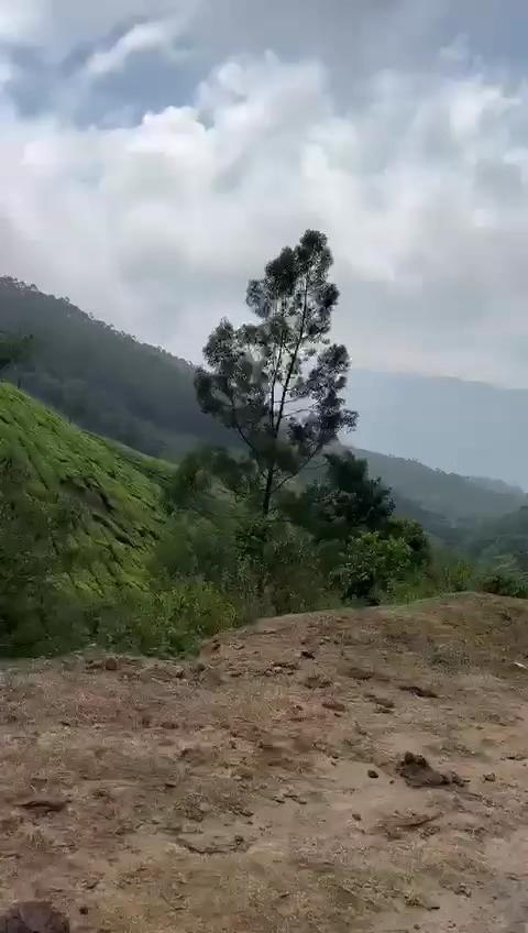 kolukkumalai tent stay munnar – photo 3