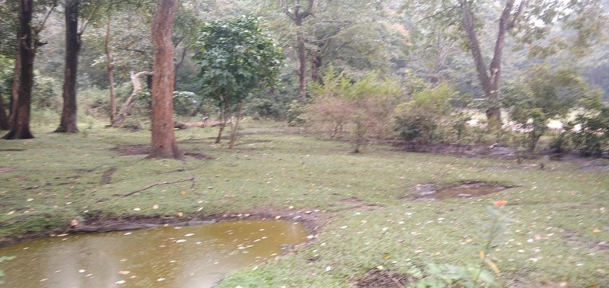 Periyar Jungle Inn