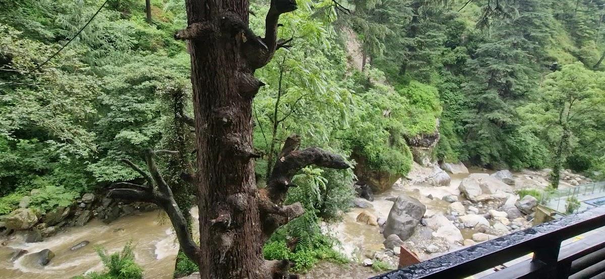 The Hosteller Jibhi – photo 4