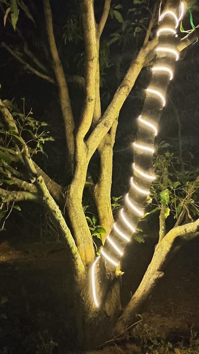 Hidden Island Resort – photo 2