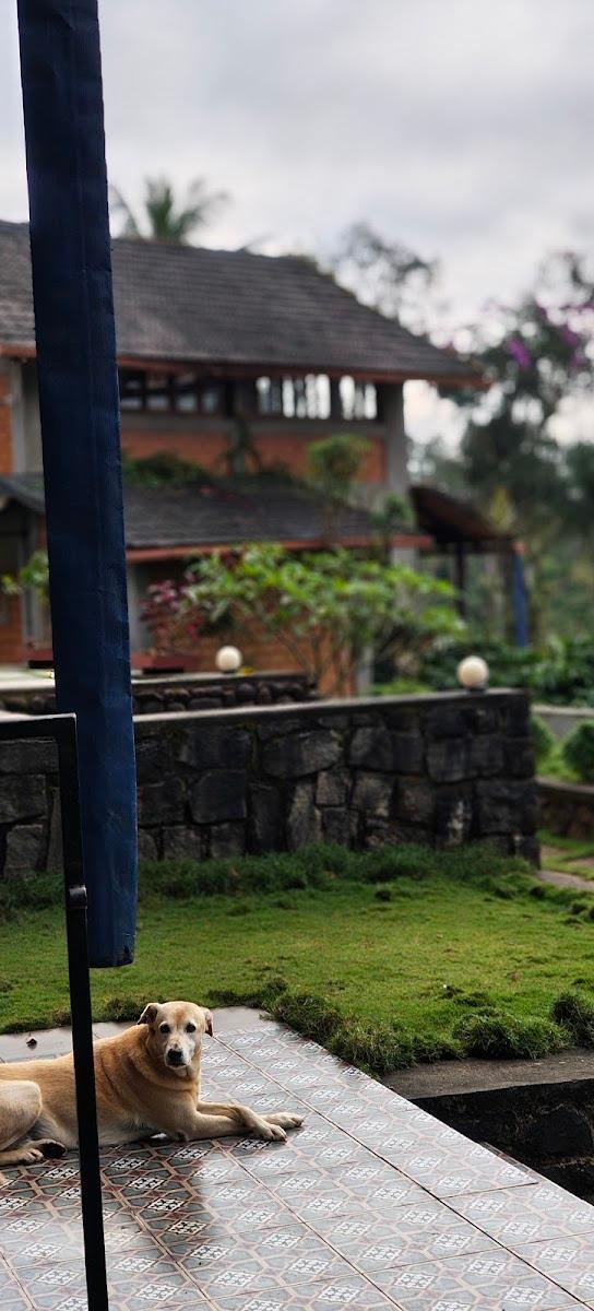 Skylarc Resort, Coorg – photo 2