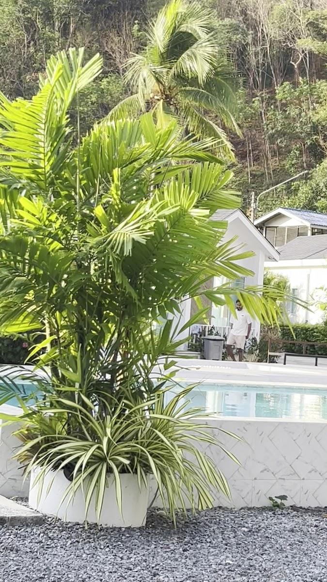 Tropical Oasis Aoyon Beach House – photo 2