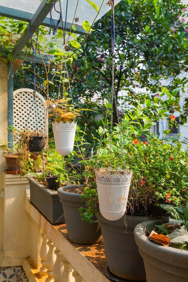 Saffronstays Birdsong - Villa in Madh Island – photo 4