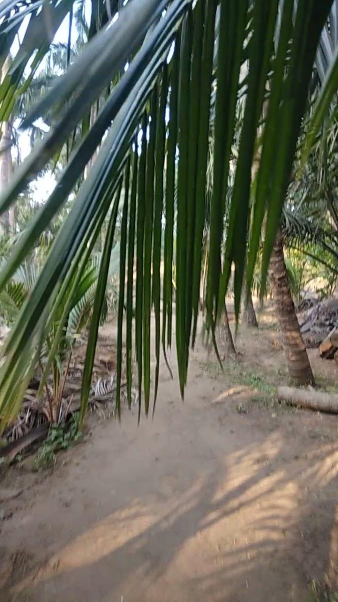 Betel wood Home stay – photo 3