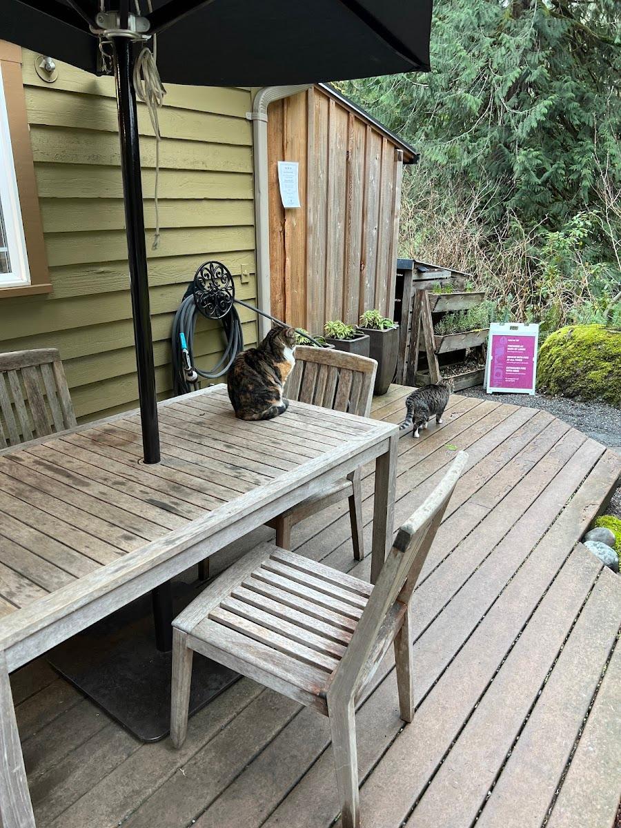 TreeHouse Point – photo 2