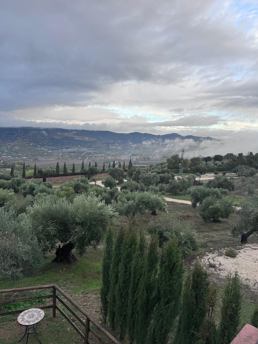 Cortijo LA Almazara – photo 3
