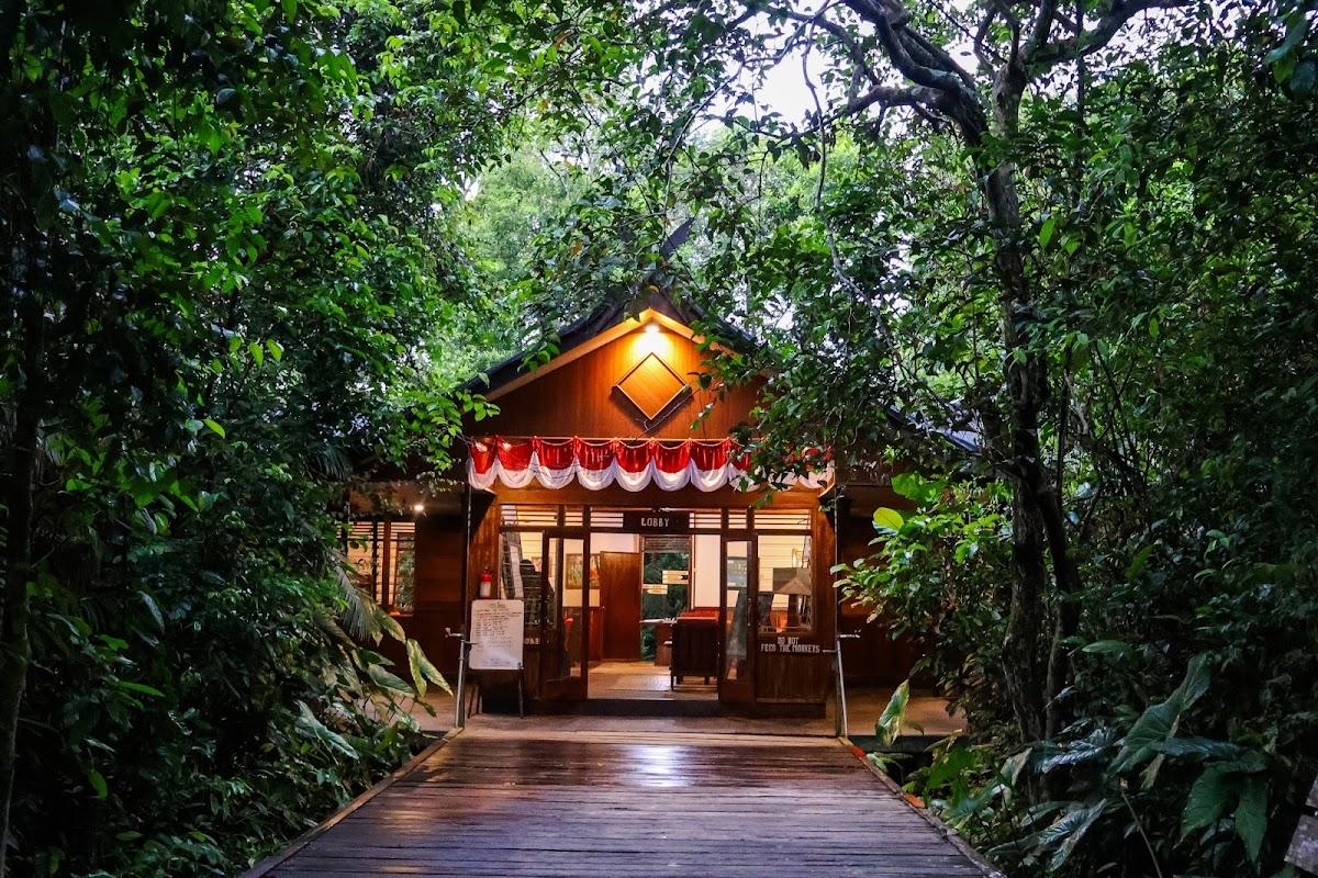 Rimba Orangutan Ecolodge – photo 1