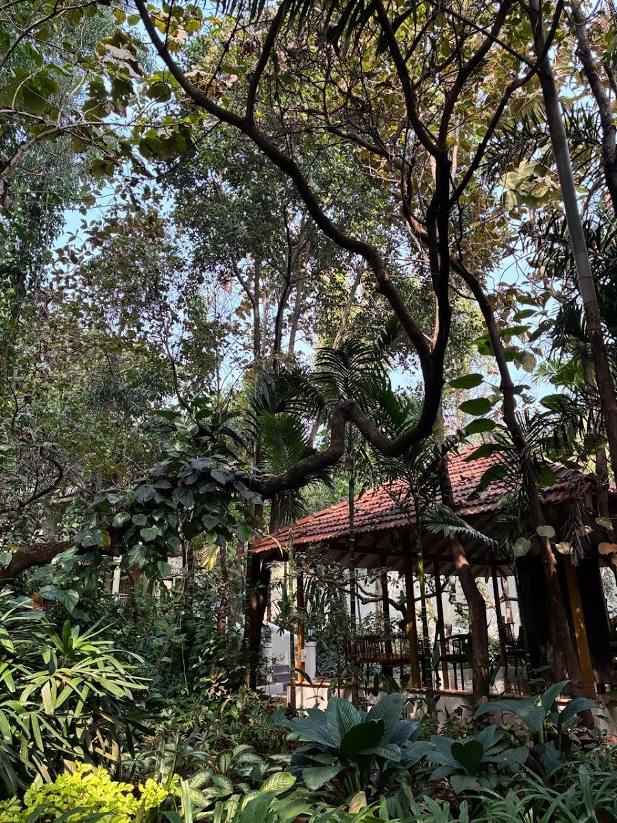 Aura Resort & Spa – photo 3