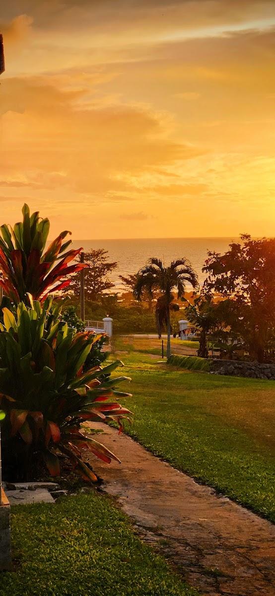 StayTonga – photo 3