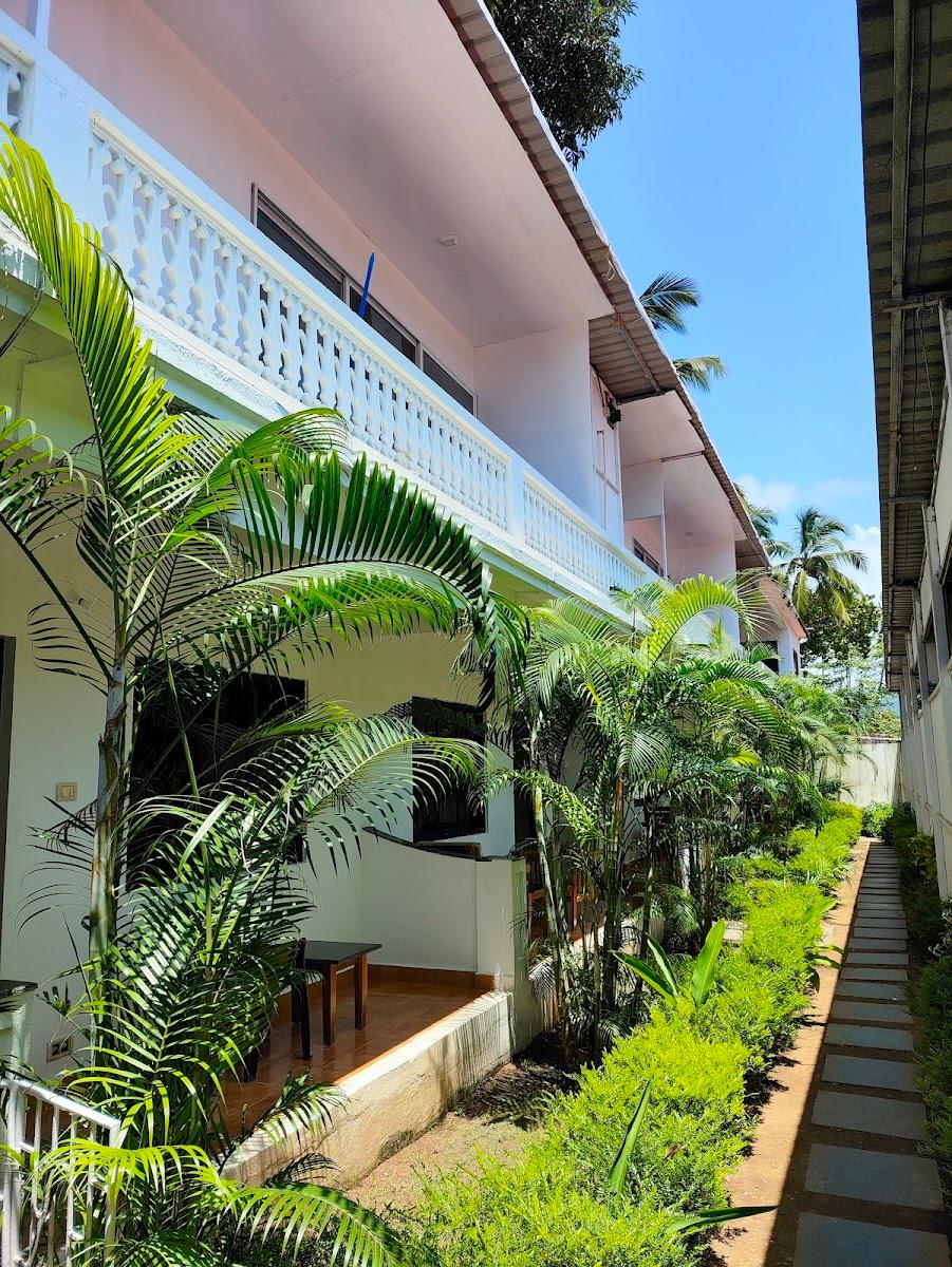 Crystal Goa Onyx Edition – photo 3