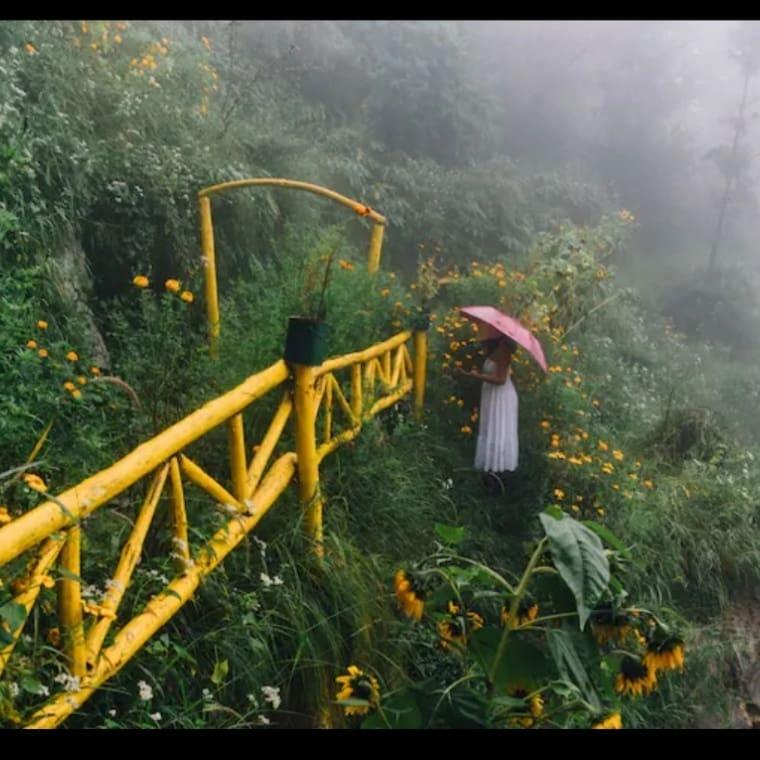 TROPICAL TREE HOUSE TANDI – photo 2