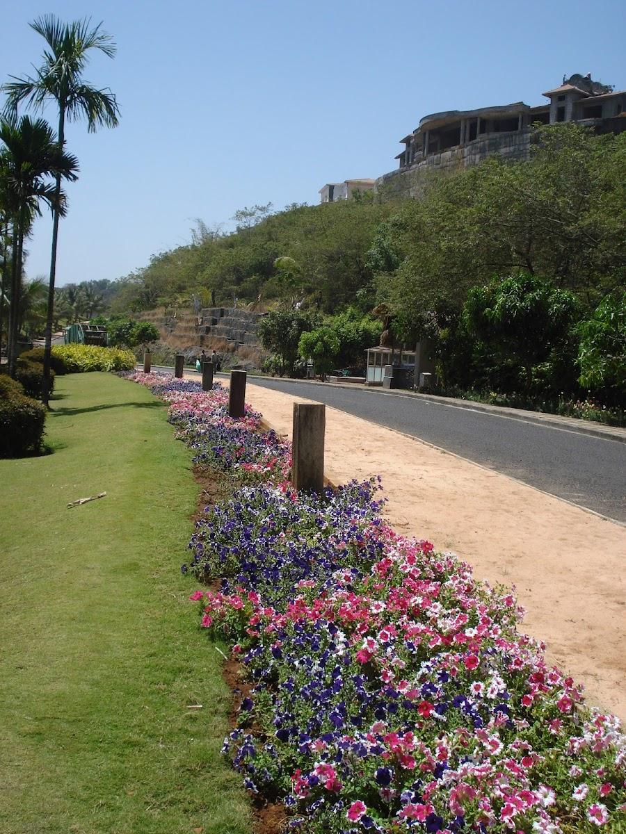 Aamby Valley City – photo 3