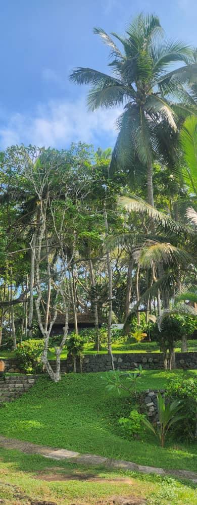 Niraamaya Retreats Surya Samudra Kovalam – photo 2