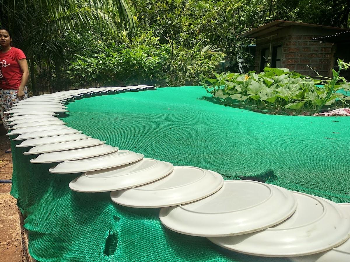 Blue Breeze Resort