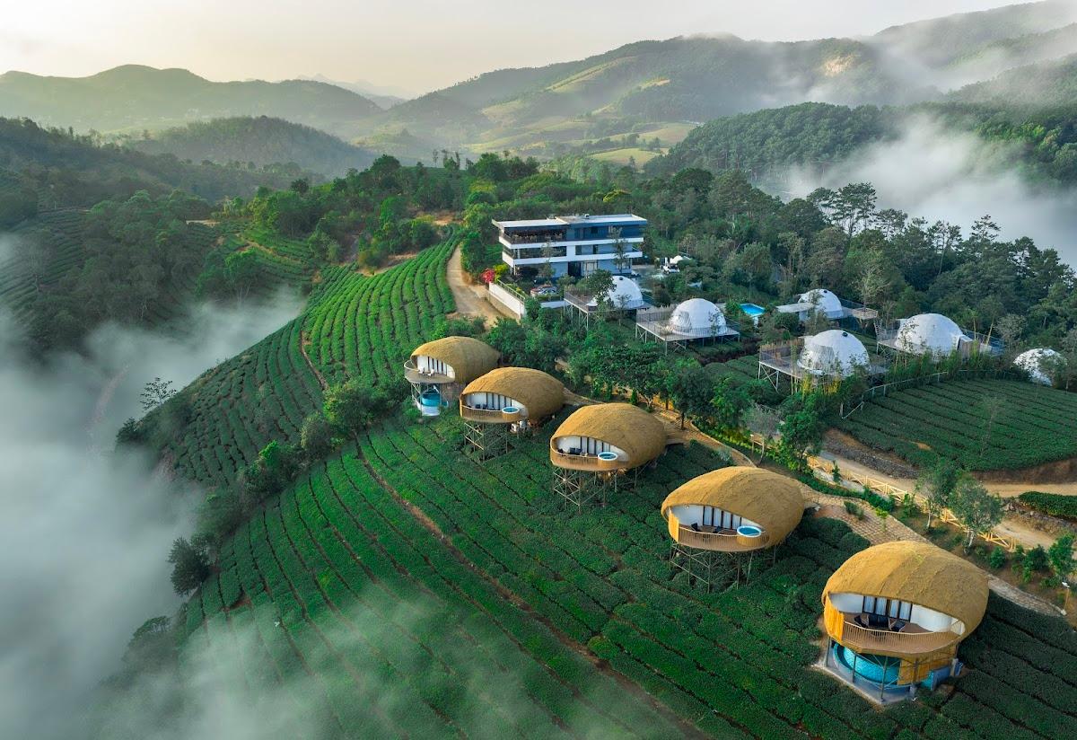 Monticle Glamps I Best Luxury Glamps - Resort in Vagamon, Kerala