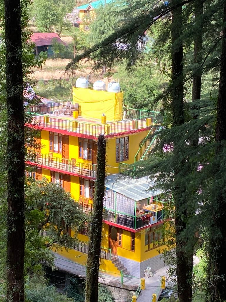 Mustard House -Dharamkot. Travellers Homestay – photo 1
