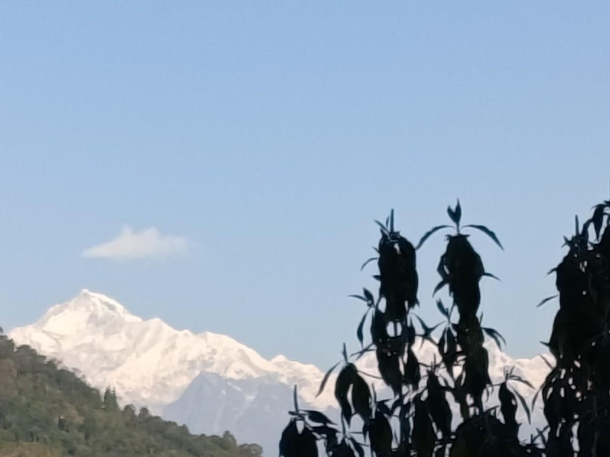 WILD ORCHID HOMESTAY – photo 3