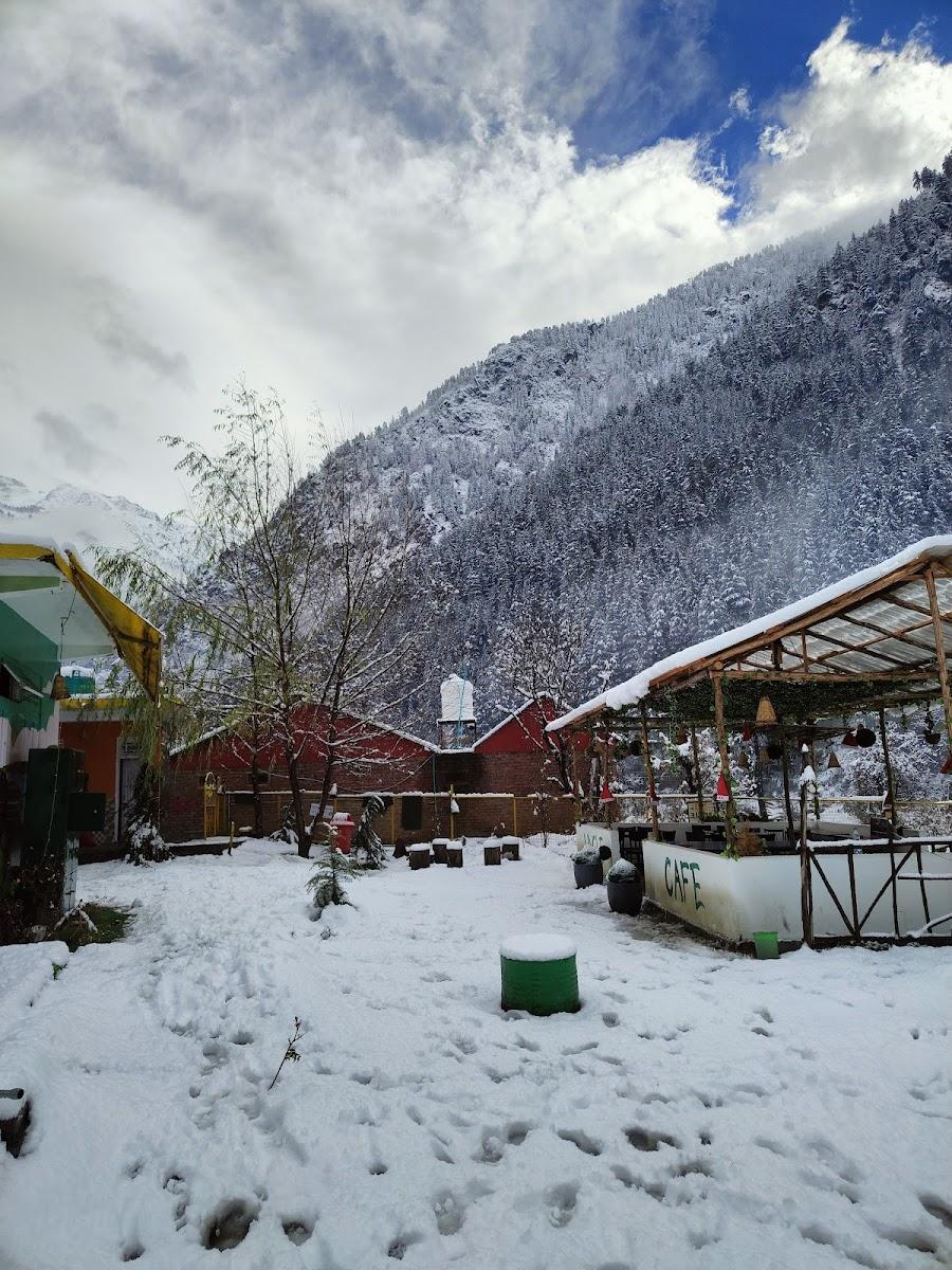 Jungle Hostel by Whoopers – photo 3