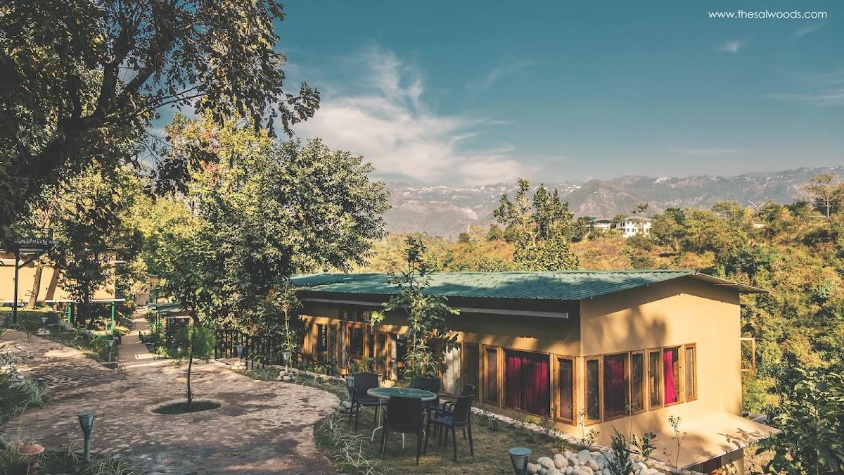 The Sal Woods - Forest Retreat and Spa – photo 1